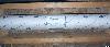 CHAMPION ROLLER 31" face, NEW,